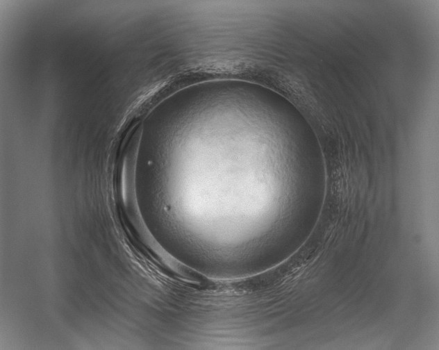 X0000057580688200509161102