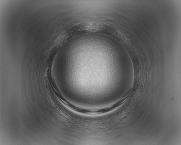 X0000057580689200509161102