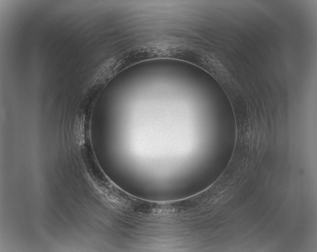X0000057580694200509161102