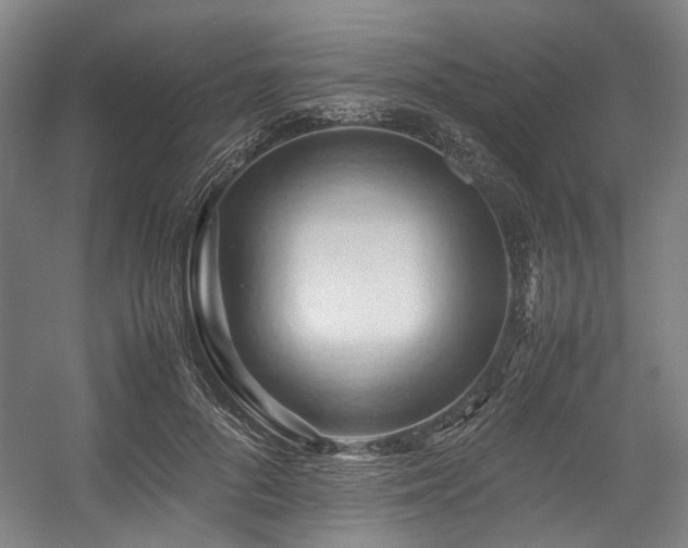 X0000057580696200509161102