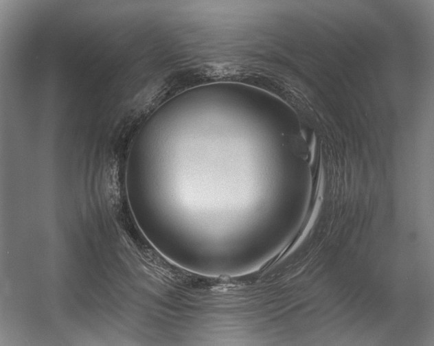 X0000057580700200509161102