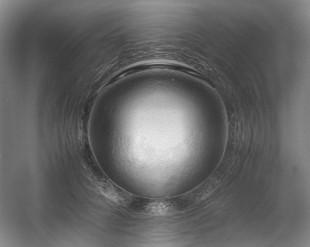 X0000057580704200509161102