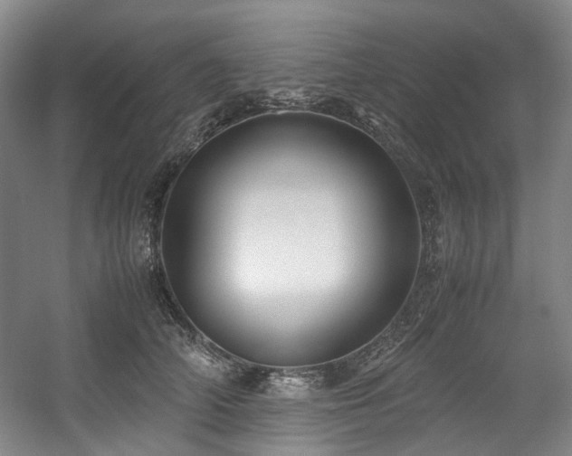 X0000057580706200509161102