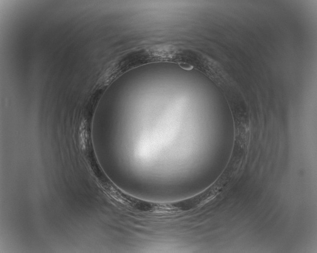 X0000057580707200509161102