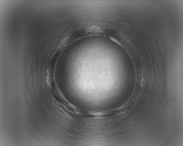 X0000057580708200509161102