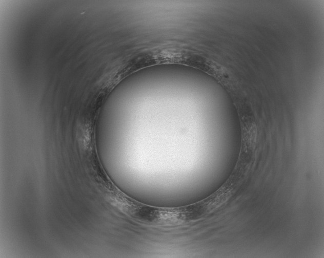 X0000057580709200509161102