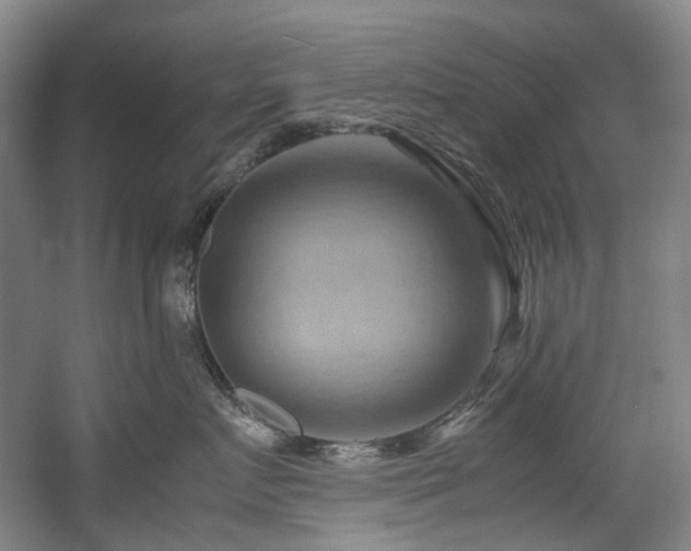 X0000057580719200509161102