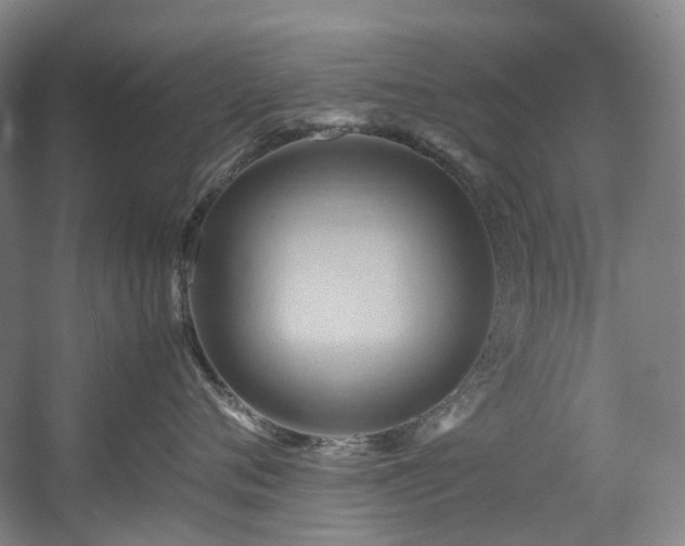 X0000057580720200509161102