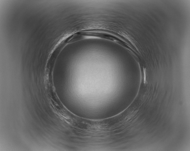 X0000057580723200509161101