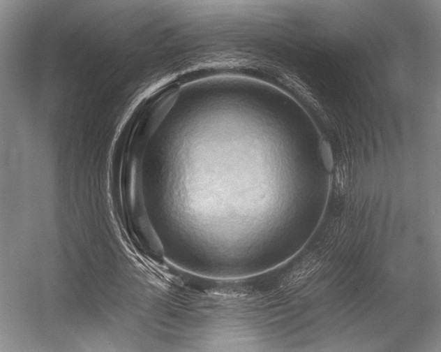 X0000057580724200509161101