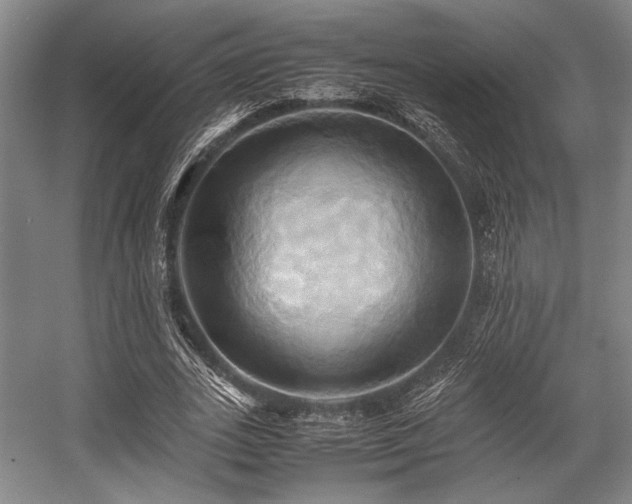 X0000057580727200509161101
