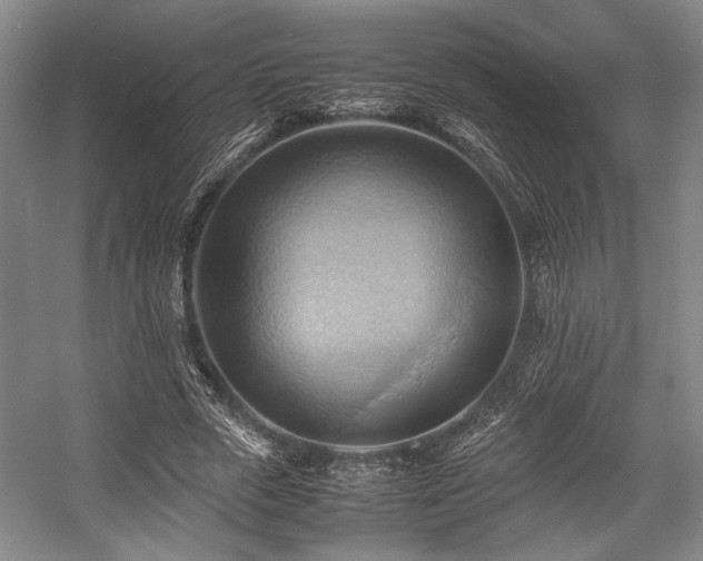 X0000057580729200509161101
