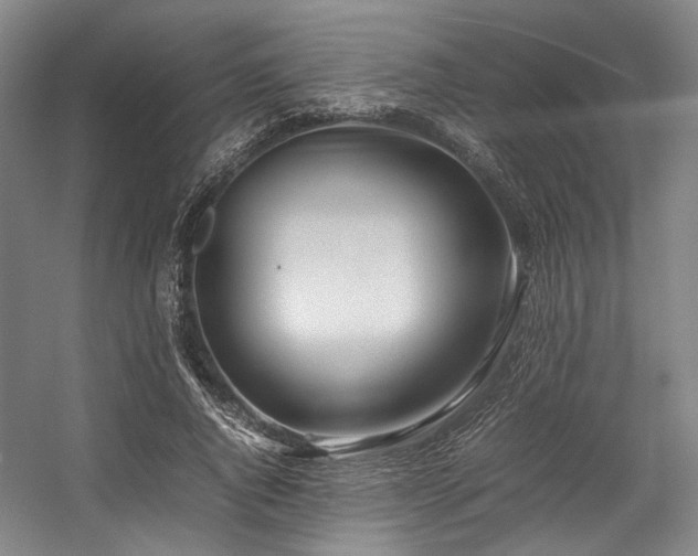 X0000057580736200509161101