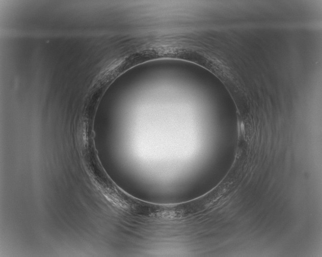 X0000057580740200509161101