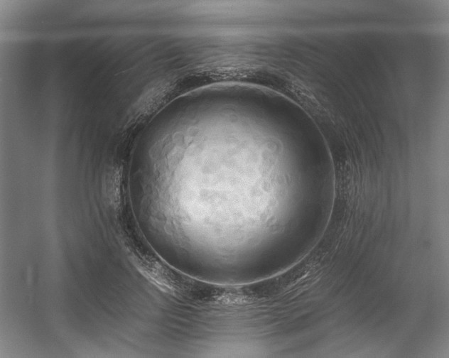 X0000057580742200509161101