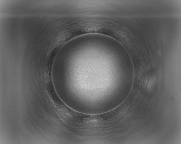 X0000057580743200509161101