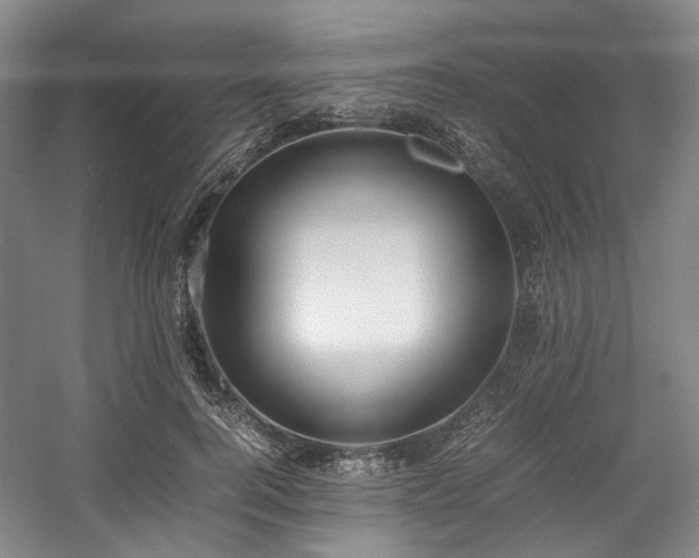 X0000057580744200509161101