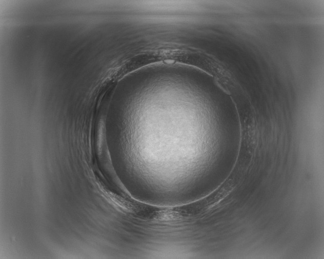 X0000057580750200509161101