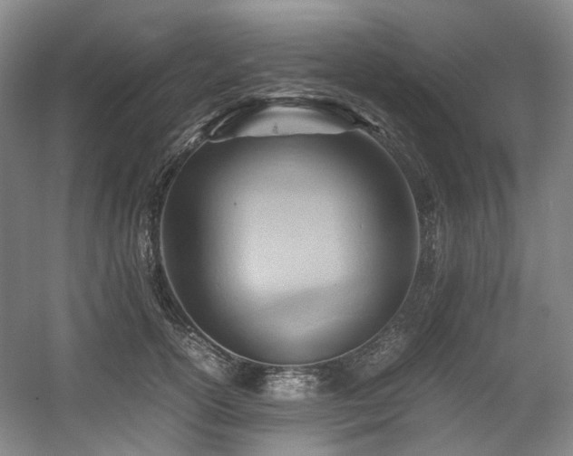 X0000057580754200509161102