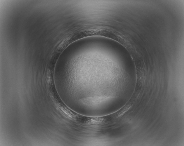 X0000057580758200509161102