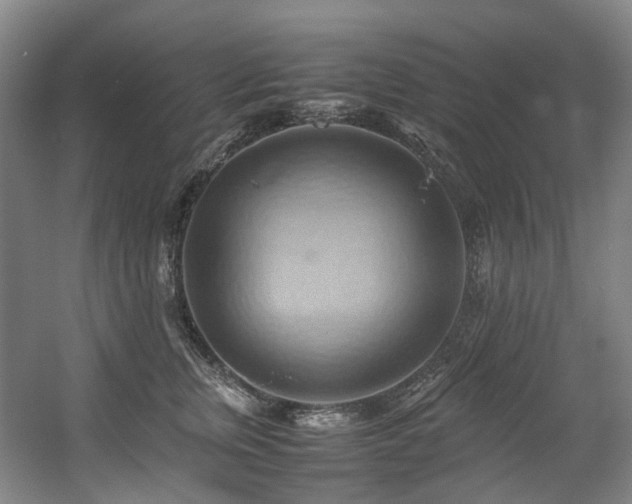 X0000057580759200509161102