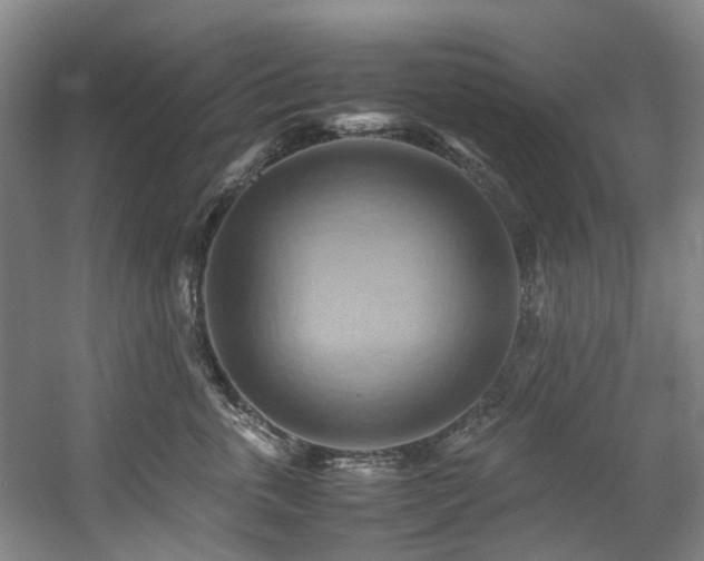 X0000057580763200509161102
