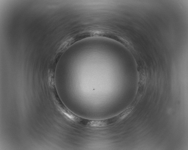 X0000057580766200509161102