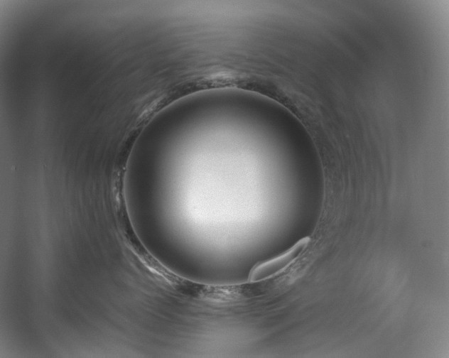 X0000057580768200509161102