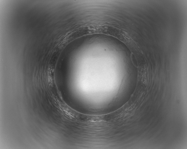 X0000057580770200509161101