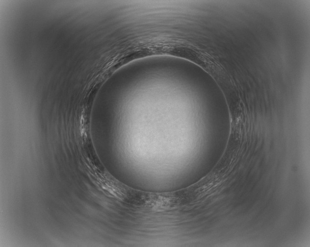 X0000057580772200509161101