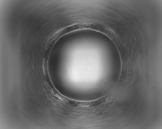 X0000057580773200509161101