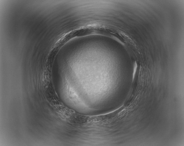 X0000057580776200509161101