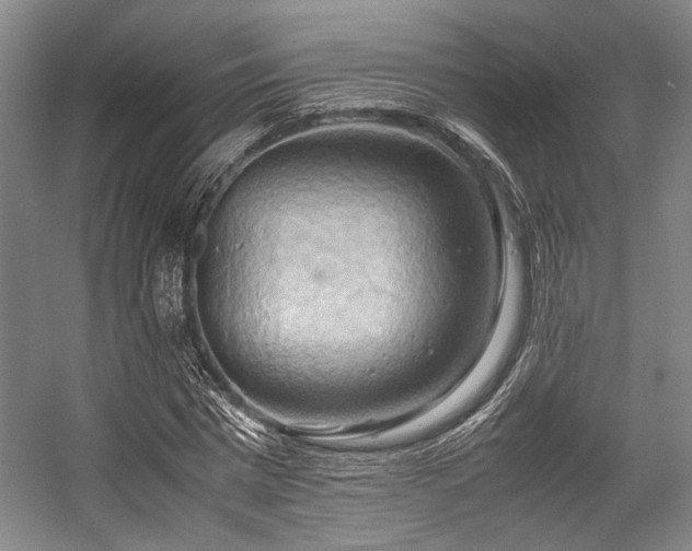 X0000057580777200509161101