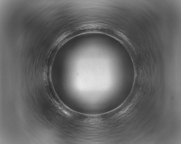 X0000057580778200509161101