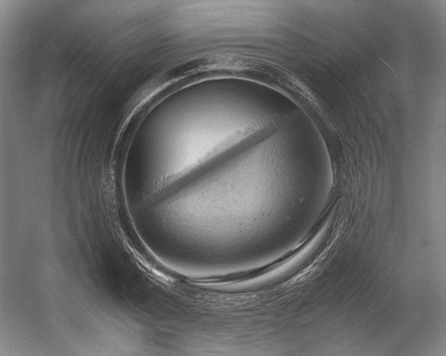 X0000057580779200509161101