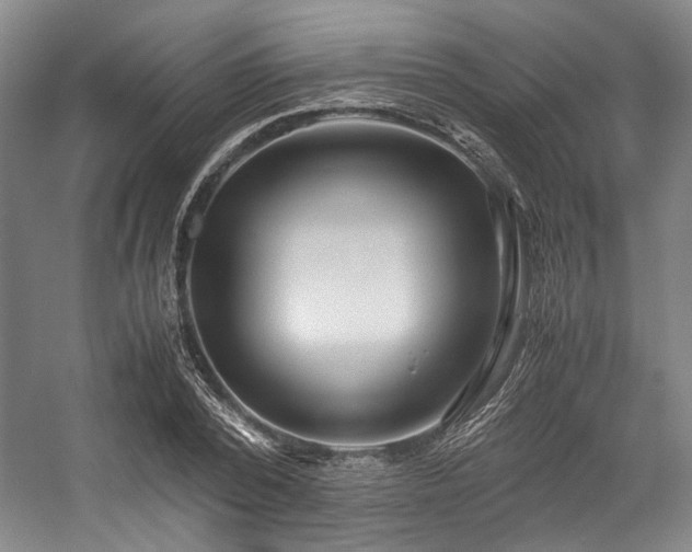 X0000057580784200509161101