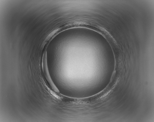 X0000057580785200509161101