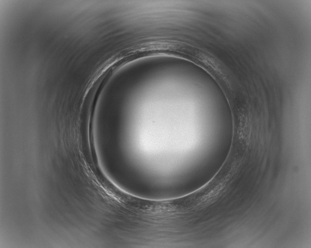 X0000057580786200509161101
