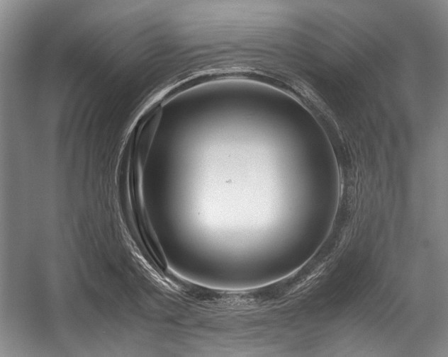 X0000057580789200509161101