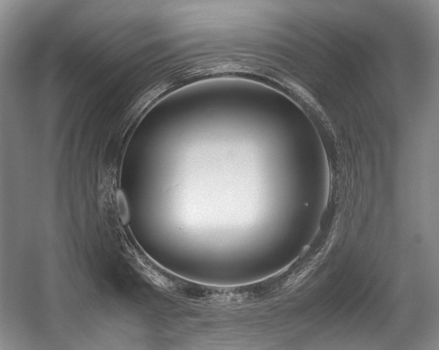 X0000057580793200509161101