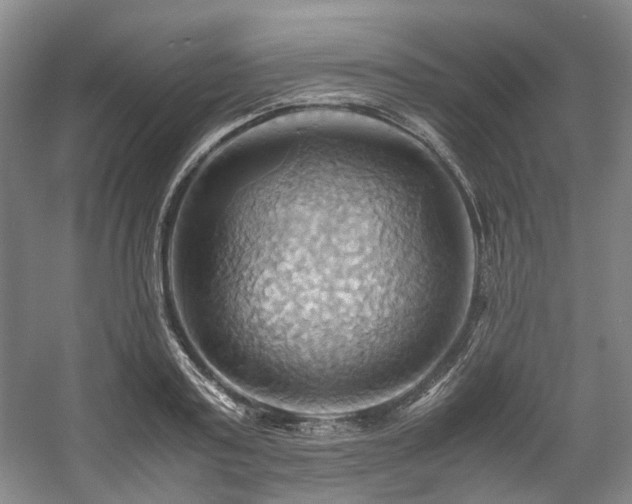 X0000057580795200509161100