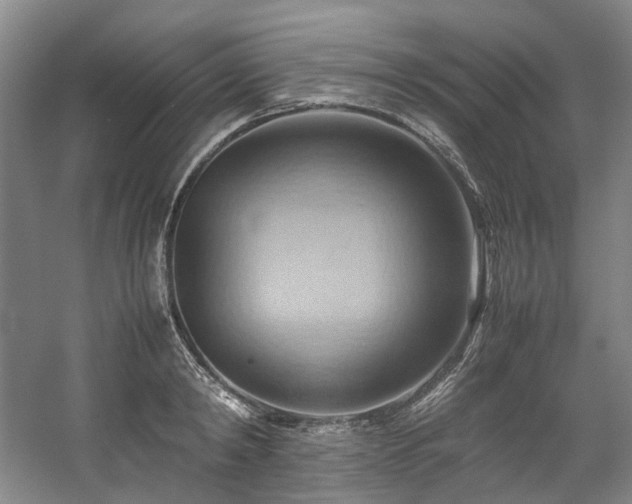 X0000057580798200509161100