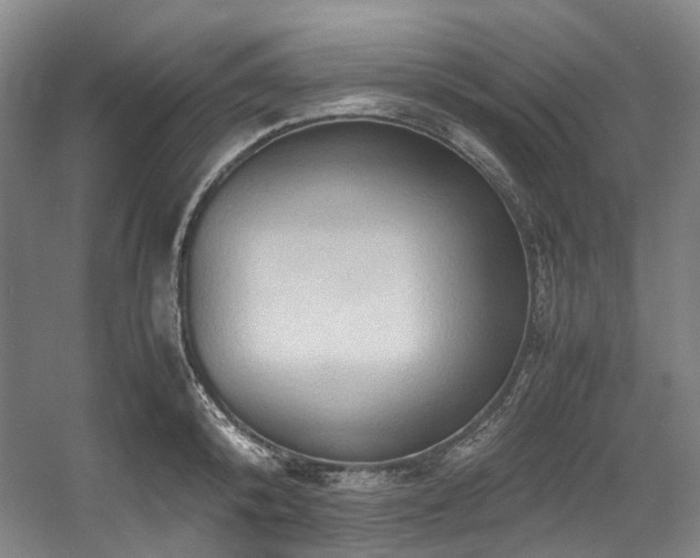 X0000057580800200509161100