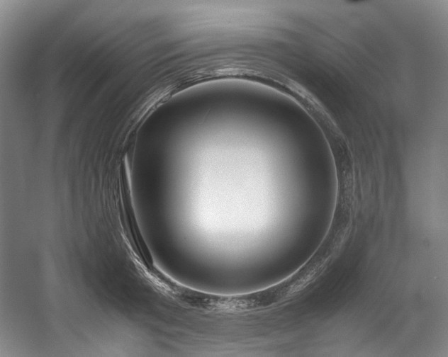 X0000057580801200509161100