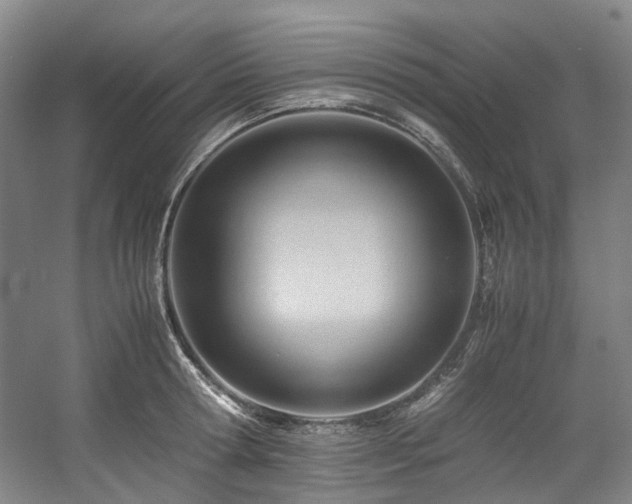 X0000057580802200509161100