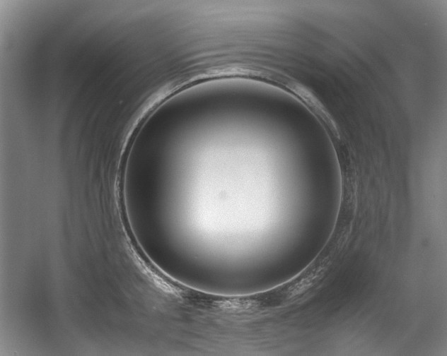 X0000057580805200509161100