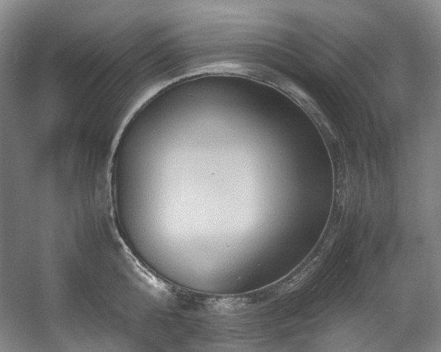 X0000057580808200509161100