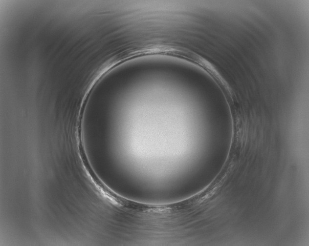 X0000057580810200509161100