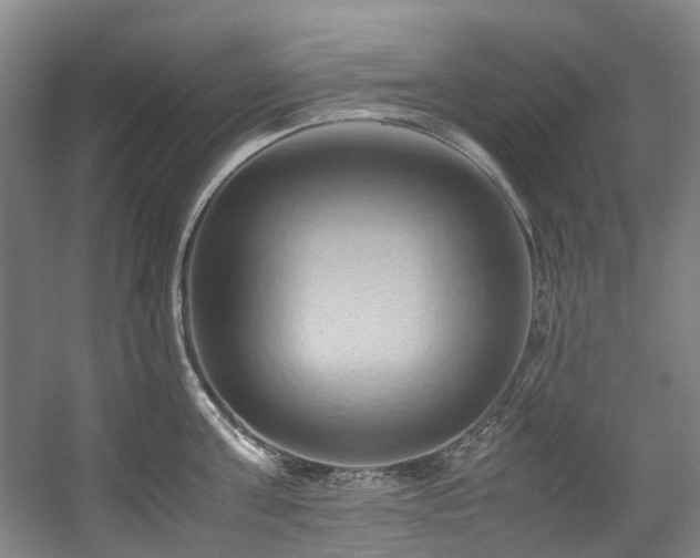 X0000057580811200509161100