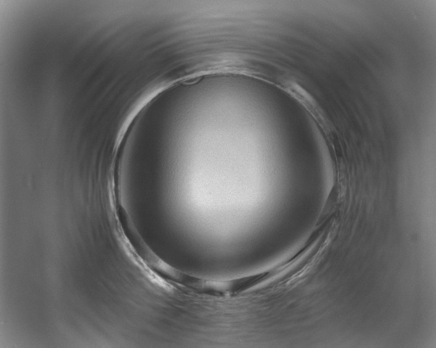 X0000057580812200509161100